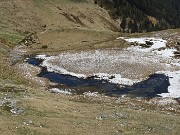 57 Ecco un bel laghetto in avanzato disgelo con pascoli che stanno rinverdendo cosparsi di Crocus vernus 